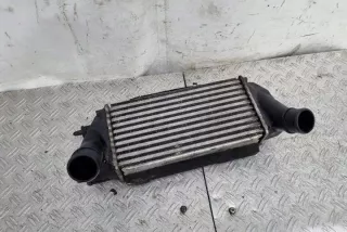 C1B19L440AC Интеркулер Ford EcoSport Арт e12125831, вид 2