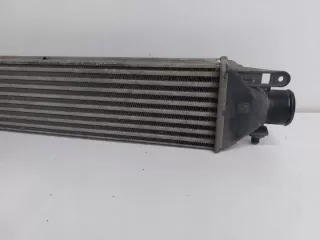 866455500 Интеркулер Fiat Doblo 2 Арт e12125801, вид 4