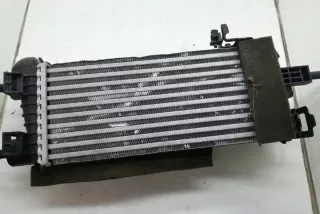 9684212480 Интеркулер Citroen Berlingo 2  Арт e12125702, вид 1
