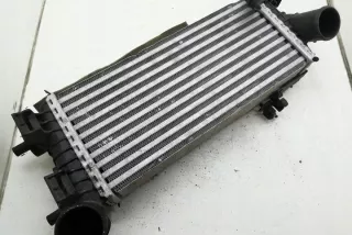 9684212480 Интеркулер Citroen Berlingo 2  Арт e12125702, вид 3