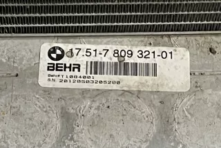 1751780932101 Интеркулер BMW X5 E70 Арт e12125679, вид 3