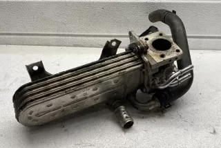 038131513 Радиатор EGR Seat Leon 3 Арт e12124972, вид 1