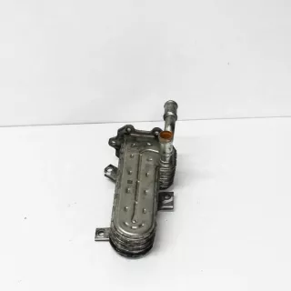 038131513AD Радиатор EGR Seat Altea Арт e12124835, вид 2