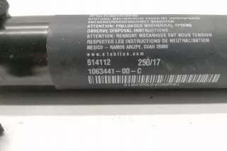 106344100C Блок управления (другие) Tesla model X Арт e12124037, вид 3