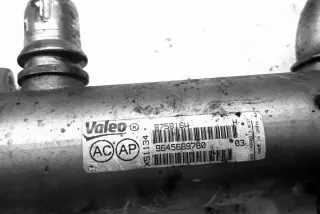 9645689780 Радиатор EGR Citroen C4 2 Арт e12121439, вид 2