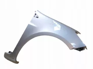  Крыло переднее правое Renault Clio 3 Арт e12098383, вид 2