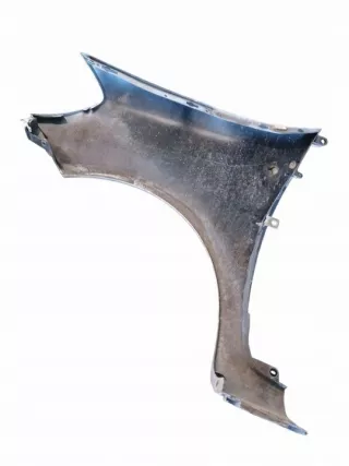  Крыло переднее правое Renault Clio 3 Арт e12098383, вид 4