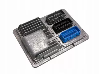 12674690 Блок управления двигателем Chevrolet Volt Арт e12090205, вид 1
