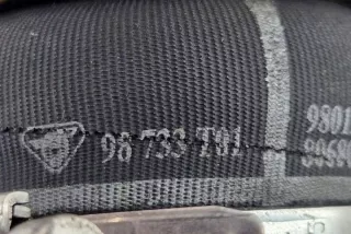98733T01 Гофра инжектора Citroen C3 1 Арт e12085904, вид 1