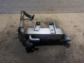 8200719993 Радиатор EGR Renault Laguna 3 Арт e12068913, вид 1