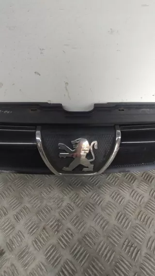 1304703070 Решетка радиатора Peugeot Boxer 2 Арт e12047757, вид 3