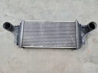 1645000200 A1645000200 Интеркулер Mercedes GL X164 Арт e12046950, вид 1