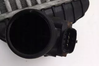 282702A860 Интеркулер Hyundai Accent LC Арт e12046748
