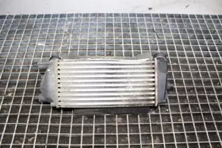 C1B19L440AC Интеркулер Ford Fiesta 6 Арт e12046689, вид 3