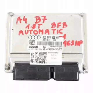 8E0909518AQ Блок управления двигателем Audi A4 B7 Арт e11977442, вид 2
