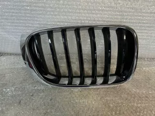 7338572 Решетка радиатора BMW X3 F25 Арт e11951641, вид 1