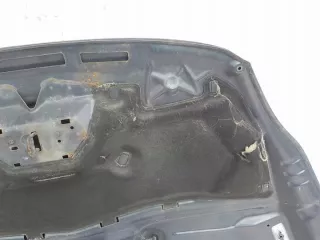  Капот Ford C-max 2 Арт e11951361, вид 3