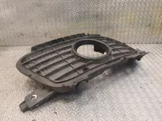 1698850622 Решетка радиатора Mercedes A W169 Арт e11924506, вид 2