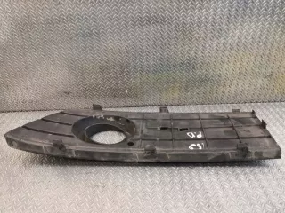 1698871025 Решетка радиатора Mercedes A W169 Арт e11924496, вид 2