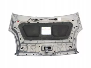 2010-2015 Капот Fiat Doblo 2 Арт e11923364, вид 5
