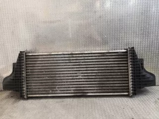 2515000000 Интеркулер Mercedes R W251 Арт e11906330, вид 3