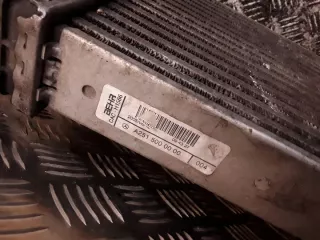 2515000000 Интеркулер Mercedes R W251 Арт e11906328, вид 3