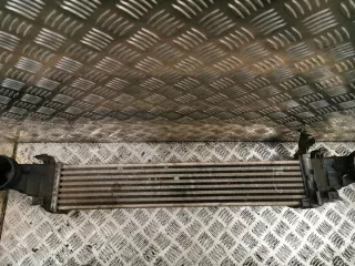 2115001102 Интеркулер Mercedes E W211 Арт e11906288, вид 1