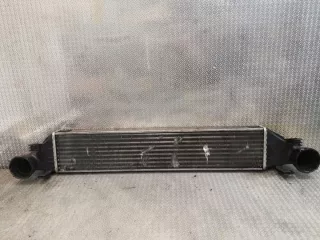 2035000000 Интеркулер Mercedes C W203 Арт e11906237, вид 1