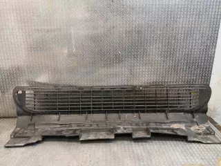 1698850023 Решетка радиатора Mercedes A W169 Арт e11890700, вид 2