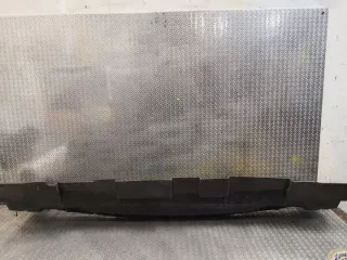 1698850023 Решетка радиатора Mercedes A W169 Арт e11890700, вид 3