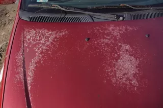  Капот Renault Megane 1 Арт e11890644, вид 5