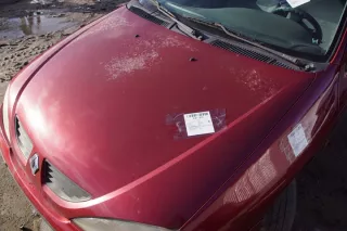  Капот Renault Megane 1 Арт e11890644, вид 7