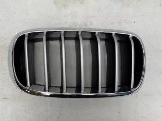 7316076 Решетка радиатора BMW X5 F15 Арт e11890262, вид 1