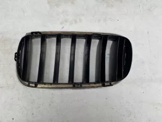 7316076 Решетка радиатора BMW X5 F15 Арт e11890262, вид 2