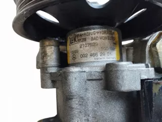 0024662901 Насос гидроусилителя руля Mercedes SLK r170 Арт e11880745, вид 4