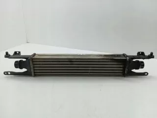 440926702 Интеркулер Opel Corsa D Арт e11873751, вид 1