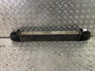 A2115001002 Интеркулер Mercedes E W211 Арт e11873603, вид 1