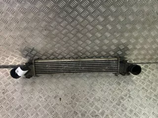 A2115001002 Интеркулер Mercedes E W211 Арт e11873603, вид 5