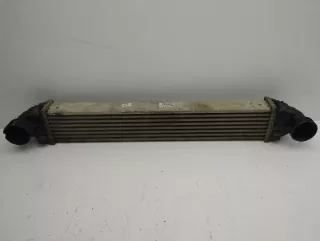 A1695000000 Интеркулер Mercedes A W169 Арт e11873564, вид 1