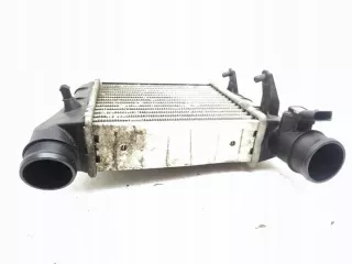 0281002401 Интеркулер Audi A4 B7 Арт e11873229, вид 4