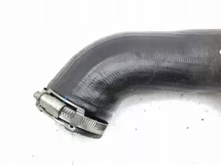 AMD149491 Гофра инжектора Audi Q7 4L Арт e11843171, вид 4