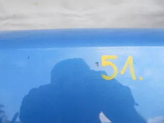 51128075426 Бампер задний BMW 2 F44 Арт e11802134, вид 2