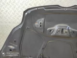 2010-2014 TWS32655 Капот Ford Focus 3 Арт e11788549, вид 13