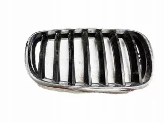 7157688 Решетка радиатора BMW X5 E70 Арт e11776209, вид 1