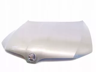 17435301579 Капот Skoda Superb 2 Арт e11769943, вид 1