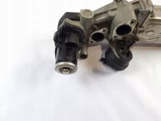03L131512DQ Радиатор EGR Volkswagen Passat B7 Арт e11769144, вид 2