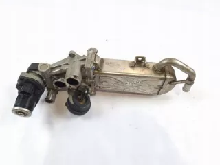 03L131512DQ Радиатор EGR Volkswagen Passat B7 Арт e11769144, вид 3