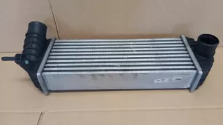8200427469 8200382109 Интеркулер Renault Kangoo 1 Арт e11739696, вид 1