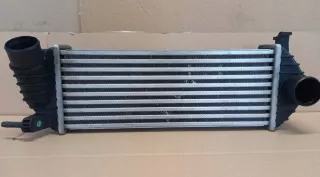 8200427469 8200382109 Интеркулер Renault Kangoo 1 Арт e11739696, вид 3