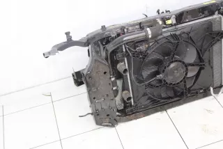 2009R- Передняя панель крепления облицовки (телевизор) Nissan Qashqai 1  Арт e11736493, вид 10